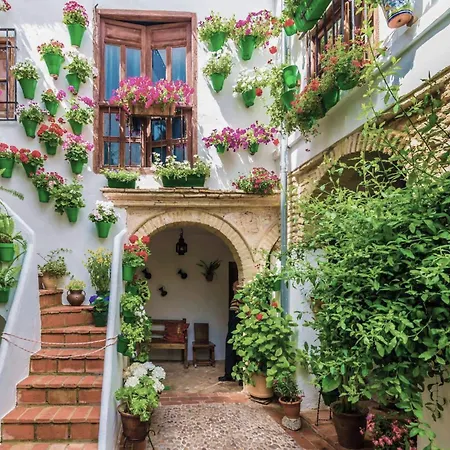Tandem Mezquita Appartement